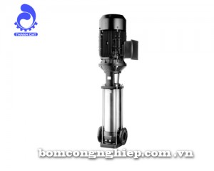 cach-nhan-biet-may-bom-truc-dung-ebara-dat-chuan